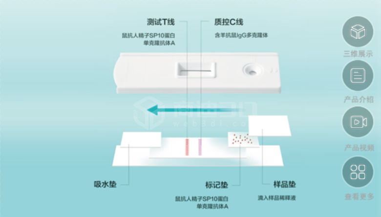 排卵验孕棒三维建模在线制作3d虚拟云展示