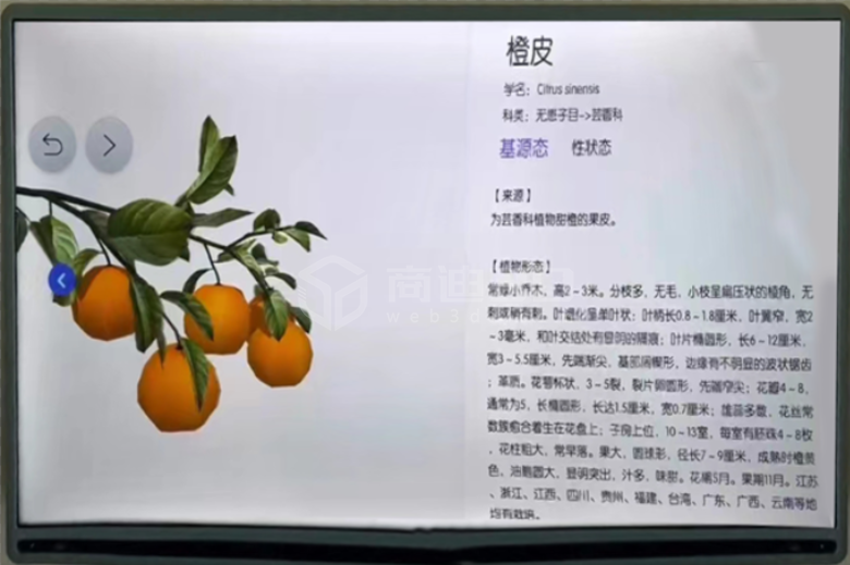 植物3d模型個性化定制3d產品互動展示功能