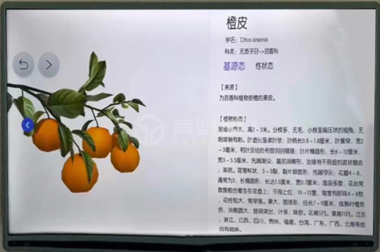 植物3d模型个性化定制3d产品互动展示功能