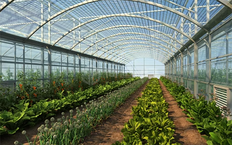 温室3D建模服务的优势和特点，为农民提供优质的种植环境