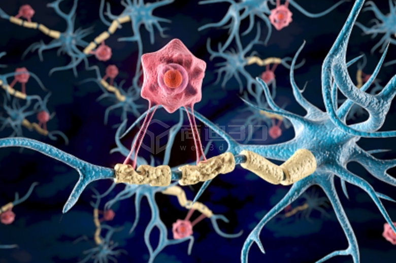 医学三维仿真视频动画制作：开启医学教育与研究的新征程