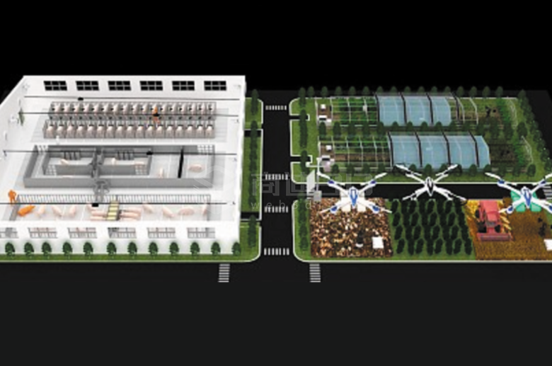 数字化展示：智慧农场农副产品的Web3D三维呈现