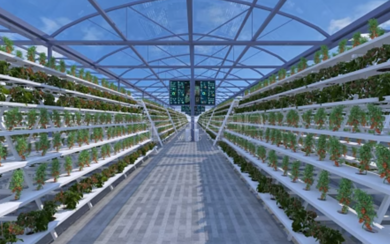 農業VR實拍：揭秘蔬菜大棚與穀物種植的發展新趨勢
