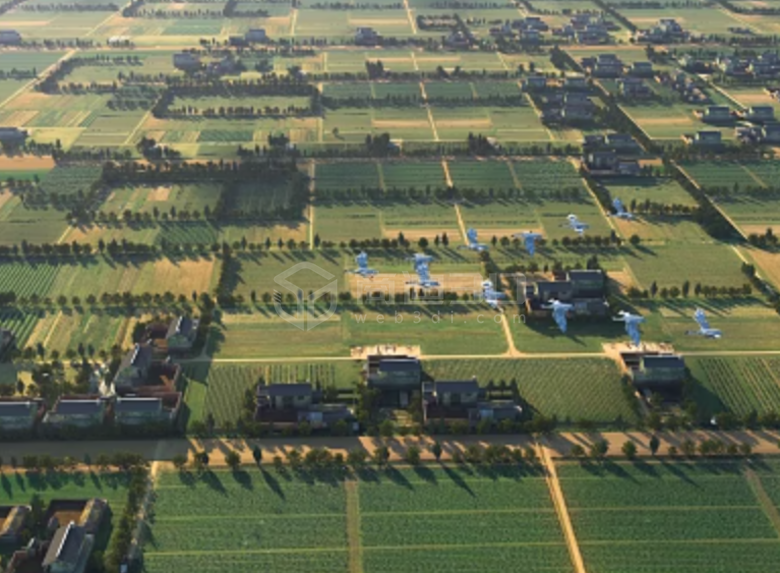 VR全景拍攝下的農業技術革新：解讀水稻種植基地創新