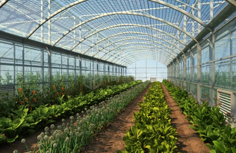园艺农业的创新路：VR全景实拍与三维驱动