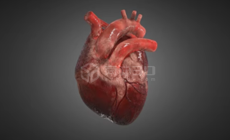 人体器官点云扫描3d建模