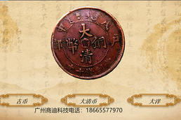 大清幣古錢幣3D立體圖