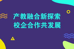 商迪3D廣東省第一批建設(shè)產(chǎn)教融合型企業(yè)實(shí)施方案